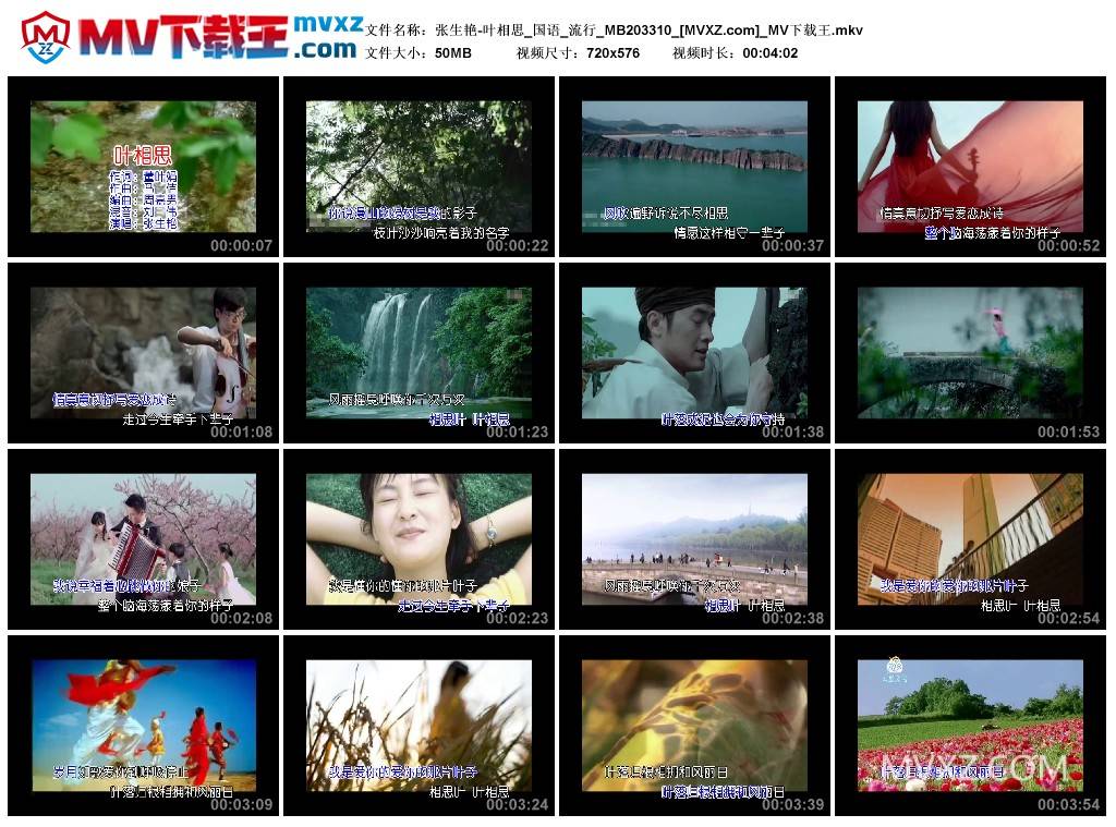 张生艳-叶相思_国语_流行_MB203310